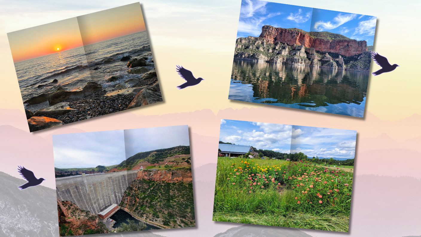 Travel is Murder Vols 1 & 2, Alex Paige Mysteries Books 1-6